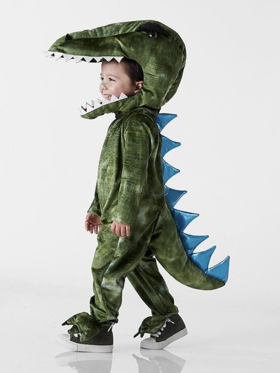 Pottery Barn Kids Other - T-Rex Light Up Halloween Costume Size 3T